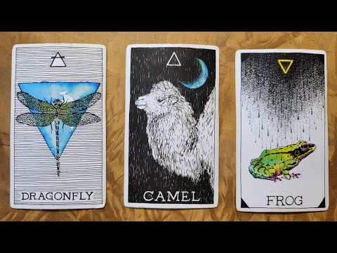 Weekly (9/23 - 9/29): The Gates Are Open #astrology #tarot #weeklymessage