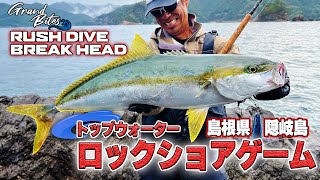 ラッシュダイブ&ブレイクヘッドで狙うヒラマサ　隠岐島編