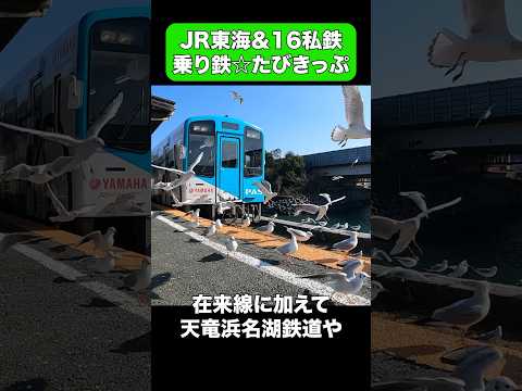 JR東海全線+16もの私鉄にのれる最強の乗り鉄たびきっぷ #shorts