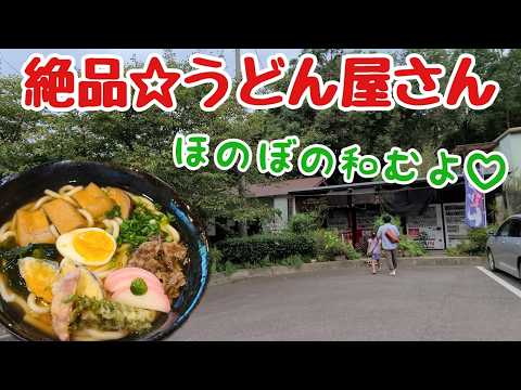 [Honobono] Enjoy delicious udon with lots of toppings ★ Honoka Curry Udon and Cold Udon / Shimane