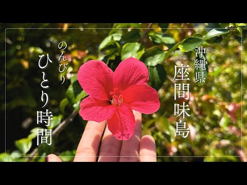 【沖縄🇯🇵座間味島】Vlog🎥予期せぬ一人旅時間〜渡嘉敷島で友達と合流の1日！座間味島での新しい過ごし方♡