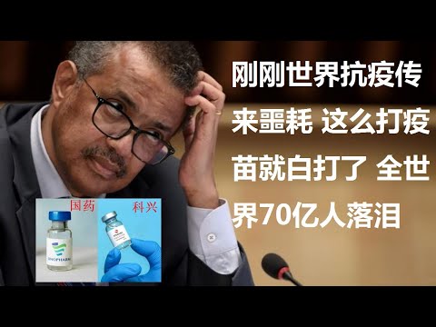 国药科兴疫苗防御德尔塔变异毒株效率让人质疑？疫苗如果这样打可能就白打了？匈牙利是世界抗疫楷模？什么样的疫苗组合可能才是抗疫的最佳方案？