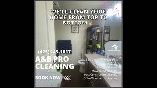 A&B Pro Cleaning