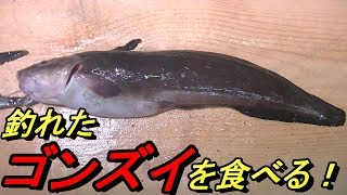 釣れたゴンズイをお刺身と塩焼きにして食べました