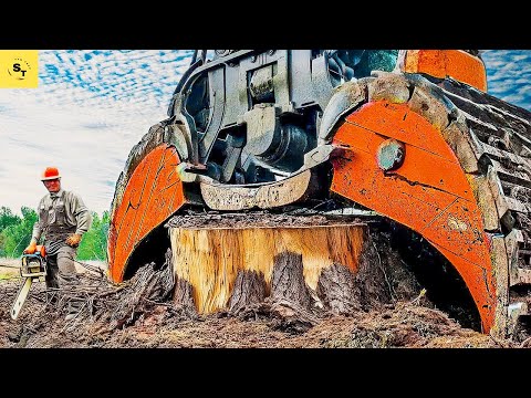 Extreme Dangerous Fastest Big Chainsaw Cutting Tree Machines | Monster Stump Removal Excavator #660