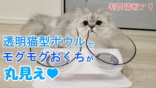 猫型フードボウルが≪激安≫になる方法を教えます！！