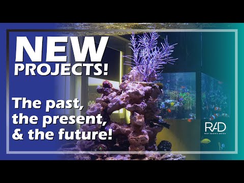 NEW PROJECTS, MEMORABILIA AND A GLANCE INTO THE FUTURE WITH THE FLORIDA MARINE AQUARIUM SOCIETY.