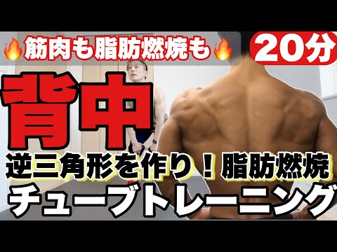 【20分】チューブトレーニングで背中集中全身筋トレ！逆三角形を作りながら脂肪を落とす