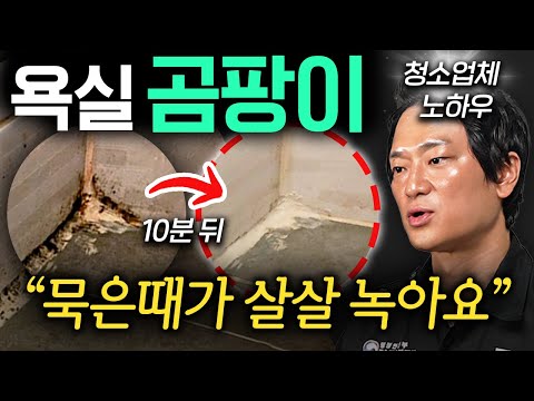 "청소업체는 이걸 뿌립니다." 벽지에 핀 곰팡이 쉽고 안전하게 제거하는 법 (양선우 팀장 3부)