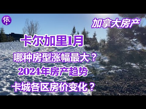 加拿大，卡尔加里1月房产，哪种房型涨幅最大？2024年房产趋势？