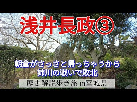 【浅井長政③】朝倉がさっさと帰っちゃうから、姉川の戦いで敗北