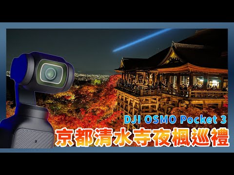 京都清水寺夜楓動眼看 by DJI OSMO Pocket 3