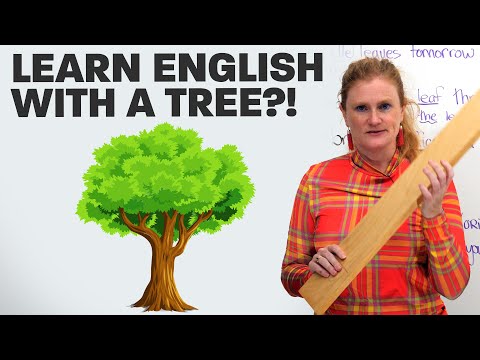 Learn English Vocabulary...with a tree!