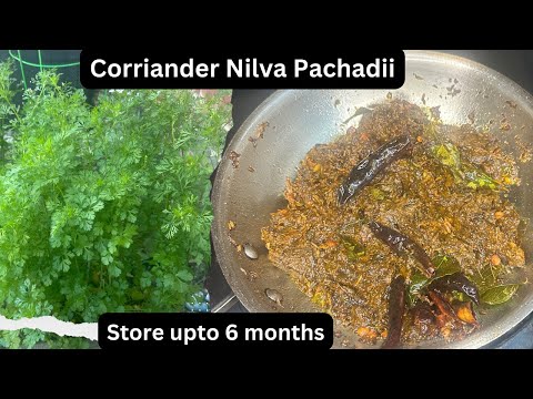 Kothimeera Nilva Pachadi Recipe/Corriander Chutney Recipe