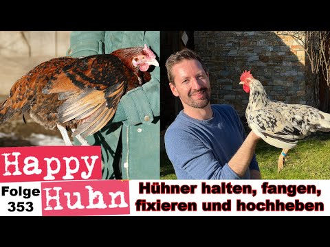 Tipps zu: Hühner halten, einfangen, fixieren, zähmen und hochnehmen mit Angelika - HAPPY HUHN E353