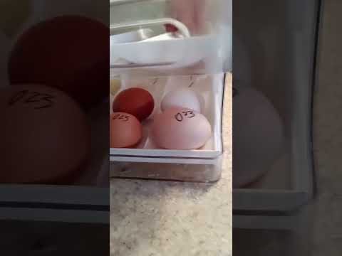 Amazon egg dispenser for your fridge! Old in the back, always fresh in the front! #coolfinds #amazon