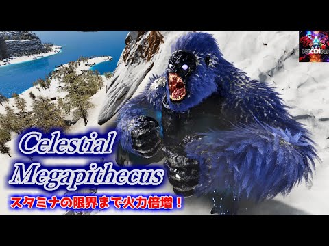 【MOD】スタミナを犠牲に火力と耐久を強化する！暴走の雄叫び！「Celestial Megapithecus」【ARK:Survival Ascended】【ARK:Decended】