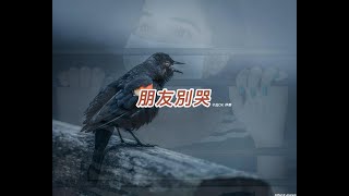 朋友別哭   (國語)(卡拉OK伴奏)(懷舊金曲)