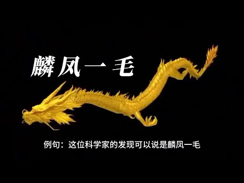 中国語 中国 成语 麟凤一毛