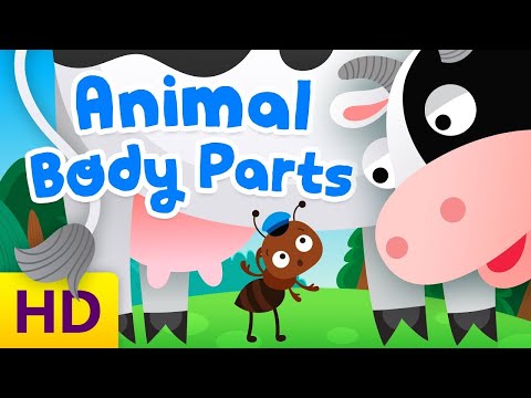 Animal Body Parts