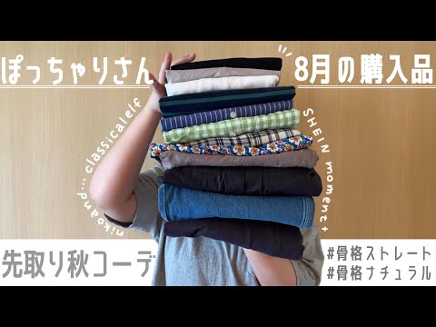 【8月購入品】大量買い｜ぽっちゃり｜先取り秋コーデ｜LOOKBOOK