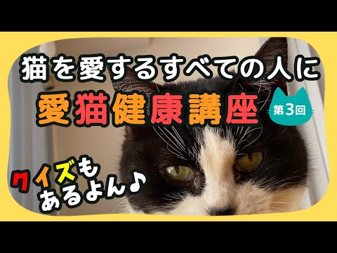 【猫しもべ検定(ΦωΦ)】「猫を愛する全ての人」に！愛猫健康講座のご紹介(第３回)