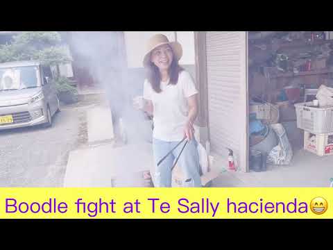 Kainan at Te Sally Hacienda|Reo king TV