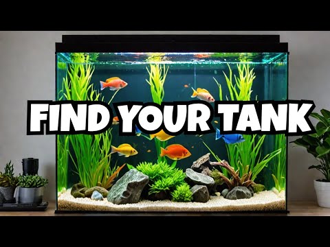 The Best 20 Gallon Fish Tanks (and Why They’re Worth It)