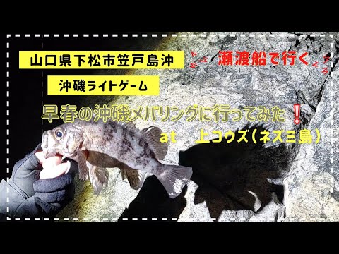 早春の沖磯メバリングに行ってみた❕山口県下松市笠戸島　沖磯ライトゲームat上コウズ