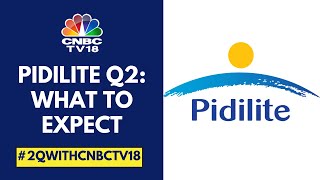 Pidilite Q2FY25 Today: Margin Expected To Improve On Contained Raw Material Prices | CNBC TV18