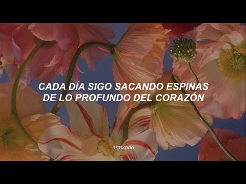 Natalia Lafourcade — Hasta La Raíz [Letra]