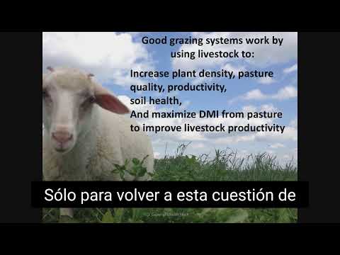 Grazing Management with Sarah Flack Part 1: Soil and Plants (Spanish subtitles)