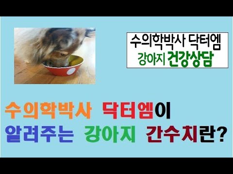 수의학박사 닥터엠이 알려주는 강아지 간수치 정보!!