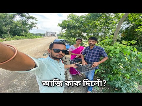 এনেকৈ দি আছোঁ | Local  murgi farming | Local murgi business