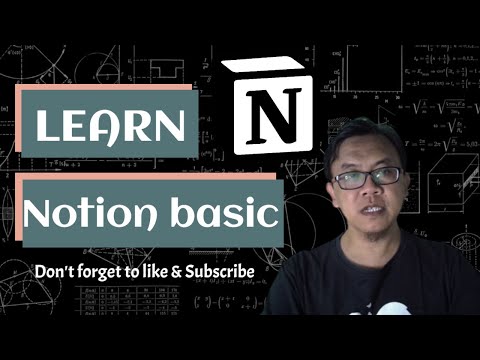 Notion For Beginner