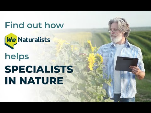 Find how WeNaturalists helps Specialists in Nature share their knowledge with the world