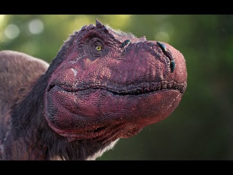 The Reality of the New T.rex Scale Impressions