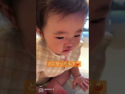 【生後7ヶ月】おもちゃに文句がある赤ちゃん/おしゃべり #shorts #baby