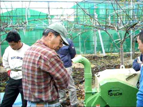 神奈川県藤沢市　梨農家の畑で　樹木剪定枝粉砕機実演