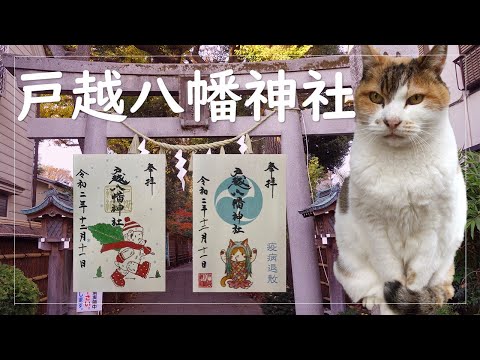 アマビエ×アイドル三毛猫の限定御朱印！おもてなしが凄すぎる戸越八幡神社