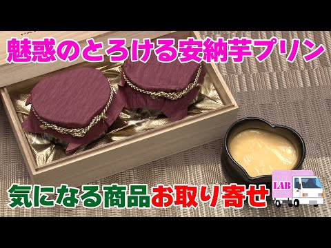 【気になる商品お取り寄せ！】魅惑のとろける安納芋プリン