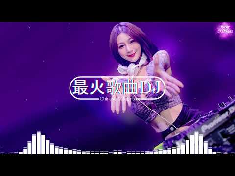 2024夜店舞曲 【 DJ抖音版 2024】 2024年最新dj歌曲 ♪ 2024全中文舞曲串烧- 全中文DJ舞曲 高清 新2024夜店混音 ♪ 串烧 dj china remix 2024