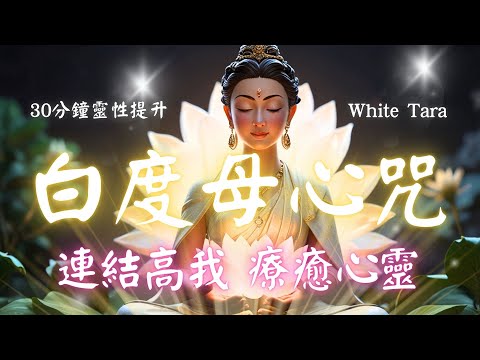 白度母心咒 White Tara Mantra 體驗 Drolkar 白度母心咒的奇蹟力量，心想事成，讓心靈與幸福共振！ (中文/羅馬發音版) #白度母 #buddha