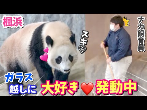 【パンダアイドル楓浜】やっぱりナカさんが1番🐼テンション爆上がり中⤴︎