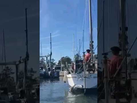 STEPPING THE MAST and hauling out! The #seagypsy is becoming a #landlubber: TIME FOR WORK! #svpepita