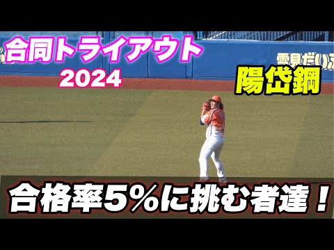 【今年で最後のトライアウト！元日ハムのスター陽岱鋼が出場のアピールの場のシートノック】