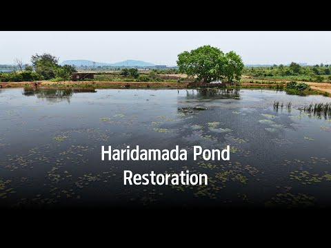 Haridamada Pond Restoration | Odisha