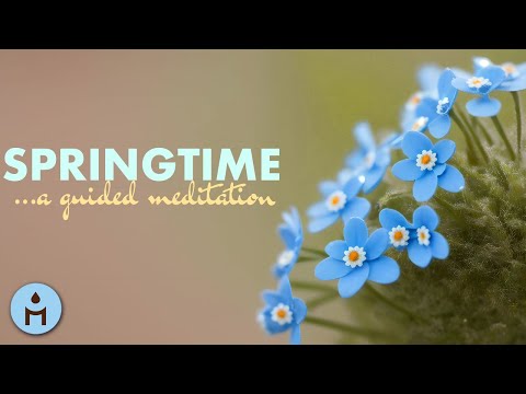 SPRINGTIME Guided Meditation 🌸🌱 Spring Awakening Guided Imagery (SPOKEN)