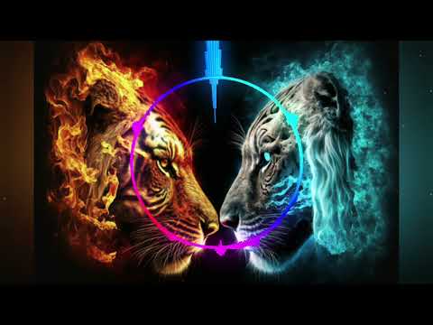 X______TIGER____VS______PANTHER__DJ__TRANCE