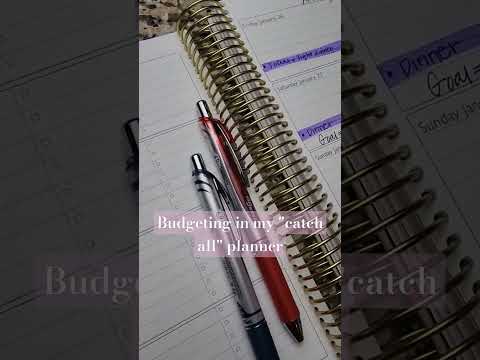 Weekly Budgeting Catch-All Planner| Budgeting